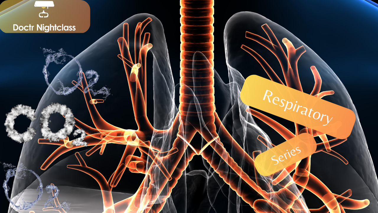 Conducting/Respiratory zones Resp 15 in Set