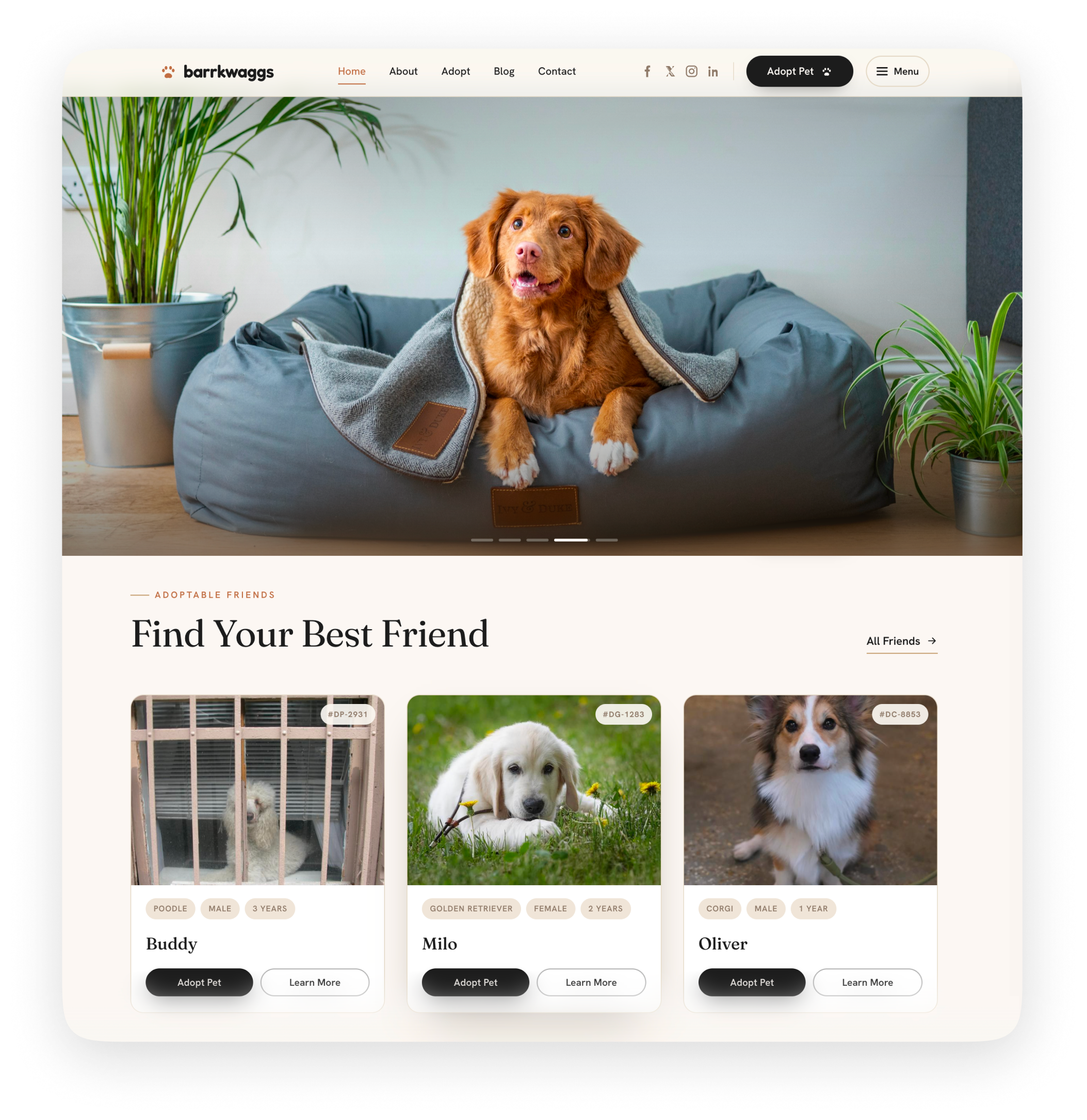 Website being built